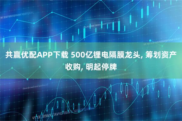 共赢优配APP下载 500亿锂电隔膜龙头, 筹划资产收购, 明起停牌