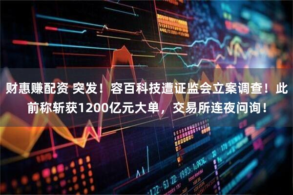 财惠赚配资 突发！容百科技遭证监会立案调查！此前称斩获1200亿元大单，交易所连夜问询！