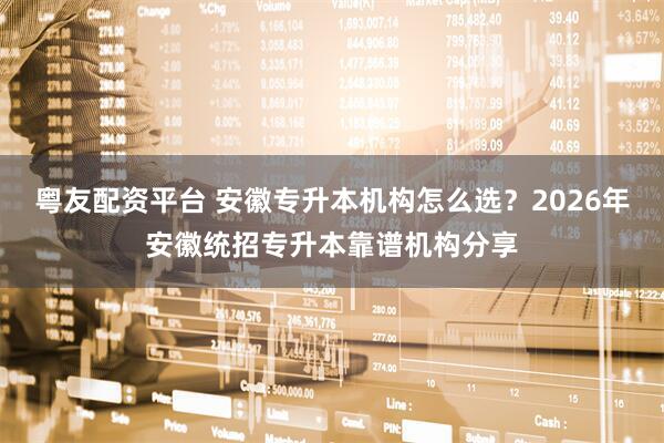 粤友配资平台 安徽专升本机构怎么选？2026年安徽统招专升本靠谱机构分享